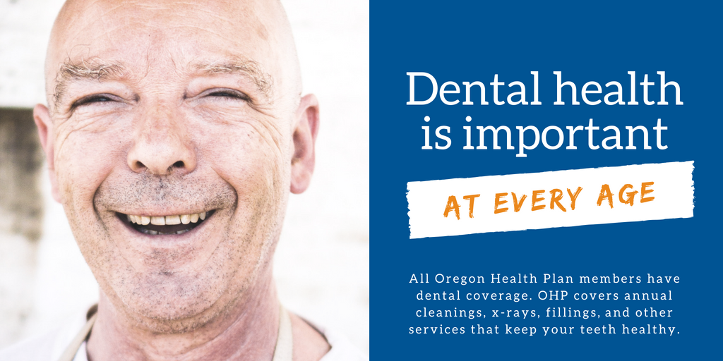 Federal dental office toolkit pixelhoure